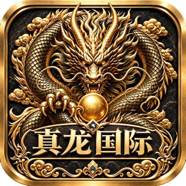 真龙国际